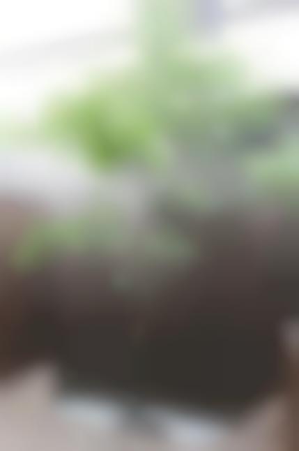 売旅館☆駅近好立地☆簡易宿泊所営業許可有り！